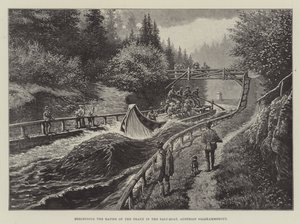 نزول منحدرات القطار في قارب الملح ، Salzkammergut النمساوي بواسطة يوهان نيبوموك شونبيرج